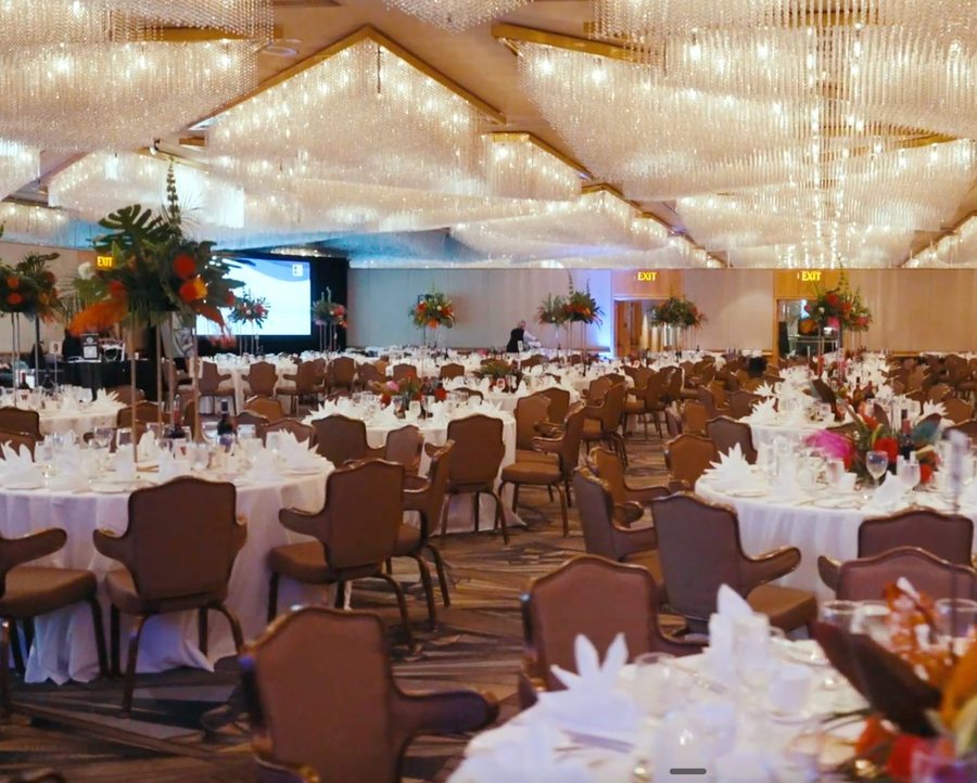 Flagship events and experiences — Mayne Assembly