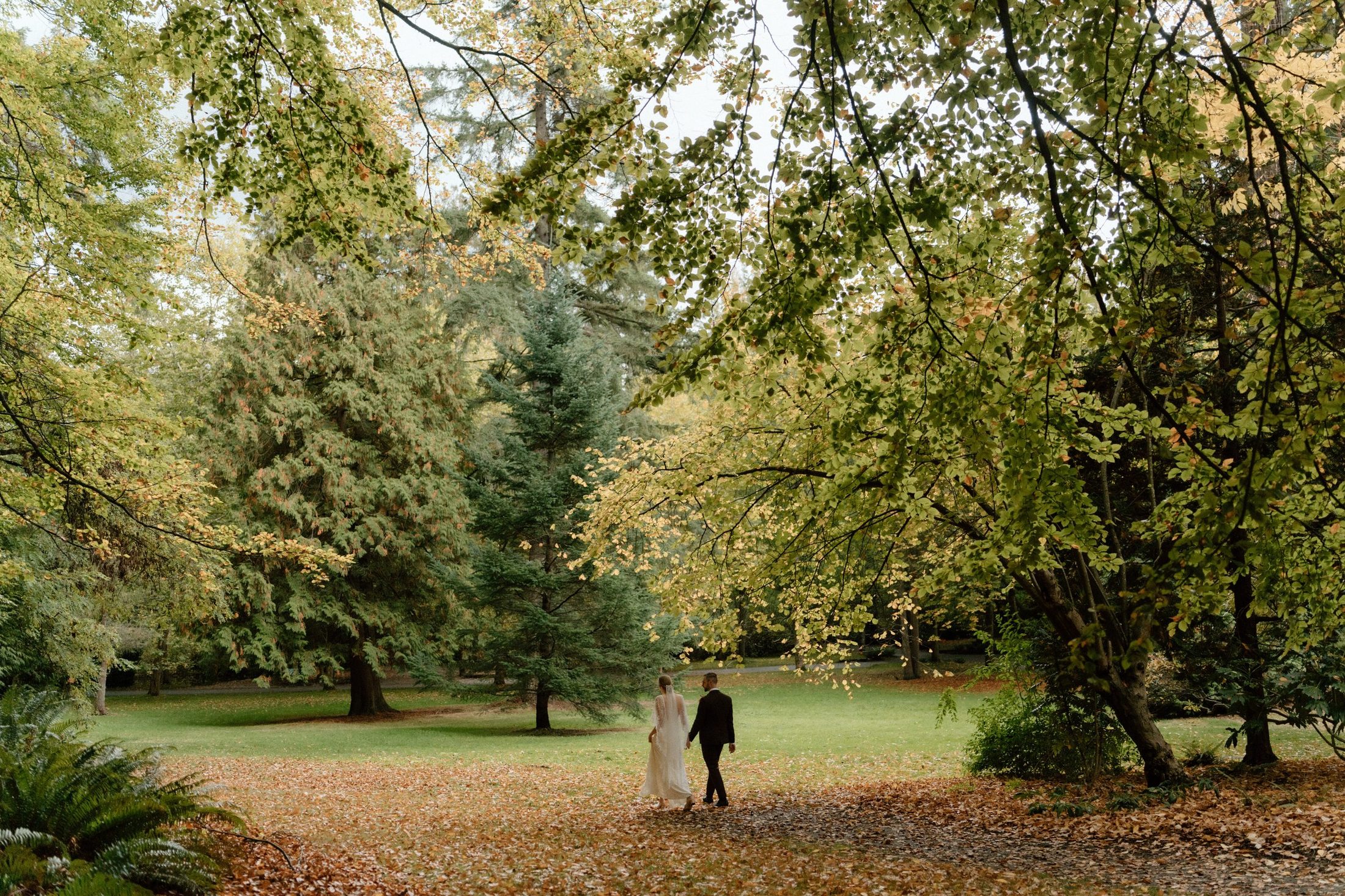 The newlyweds walking hand in hand through fall leaves